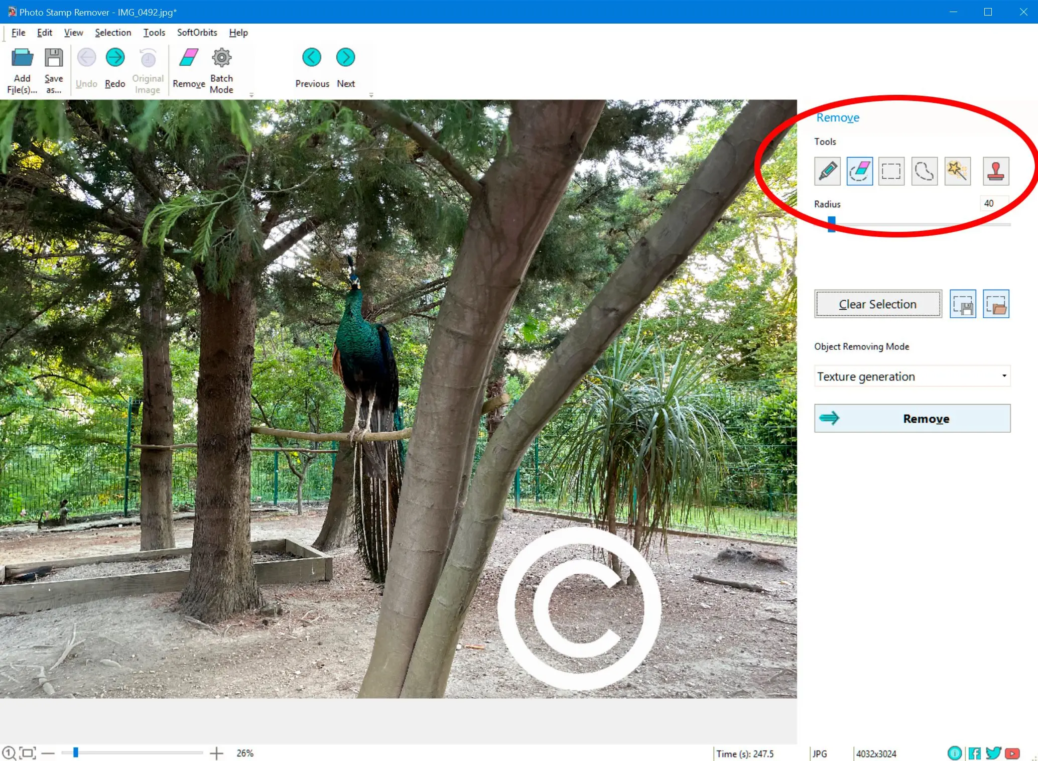 Remove Copyright From Picture..