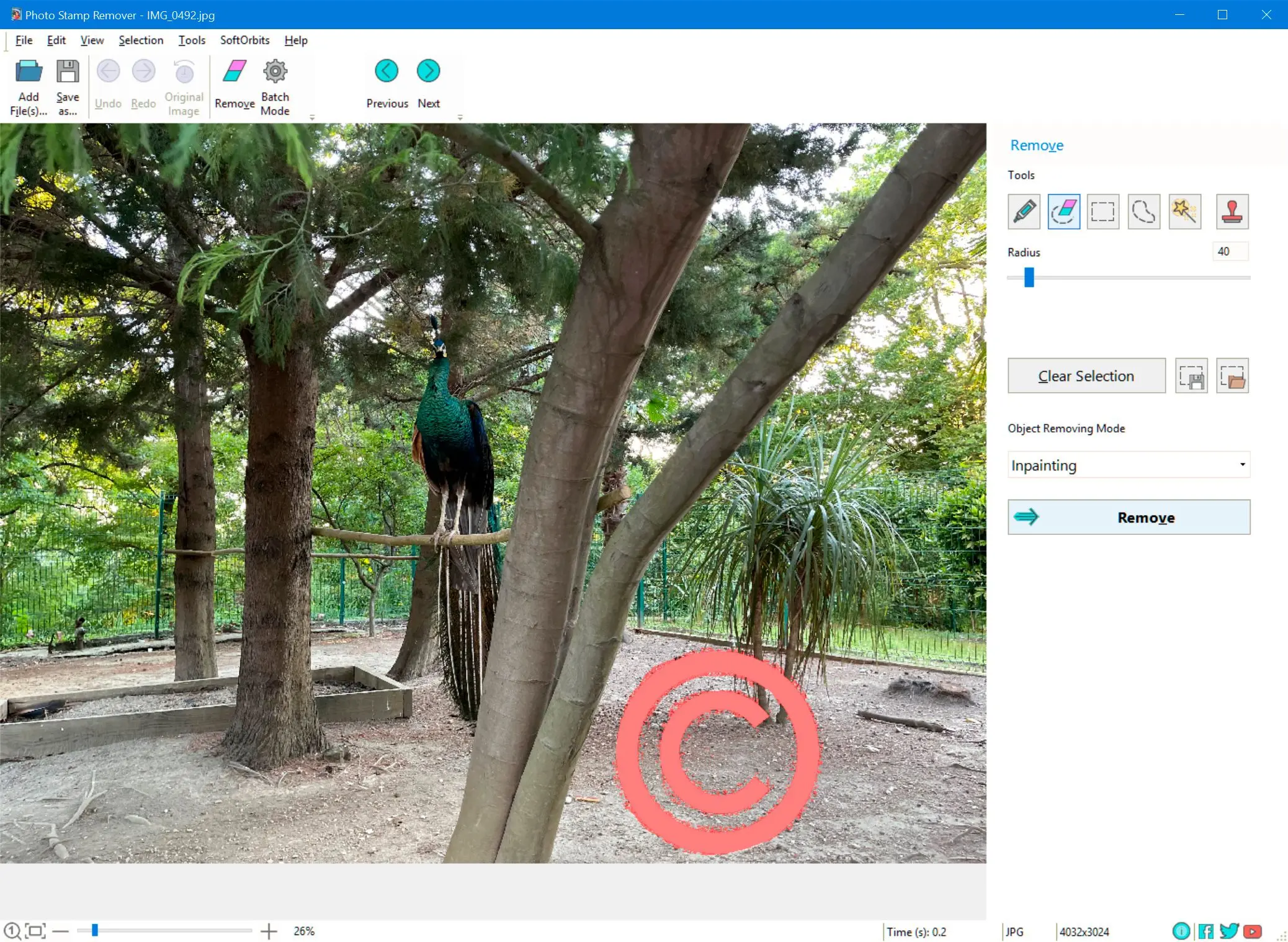 Remove Copyright Watermark From Photo..