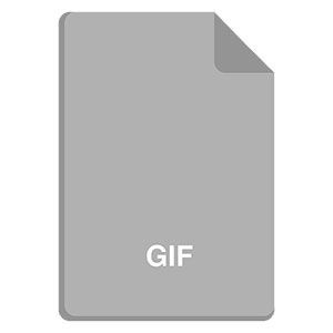 Gif image type icon..