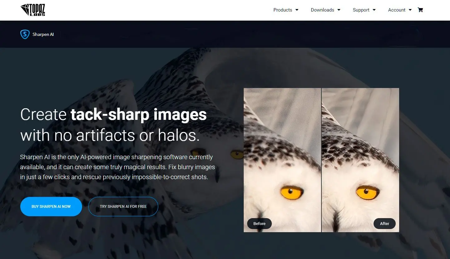  Topaz Photo AI sharpening interface..