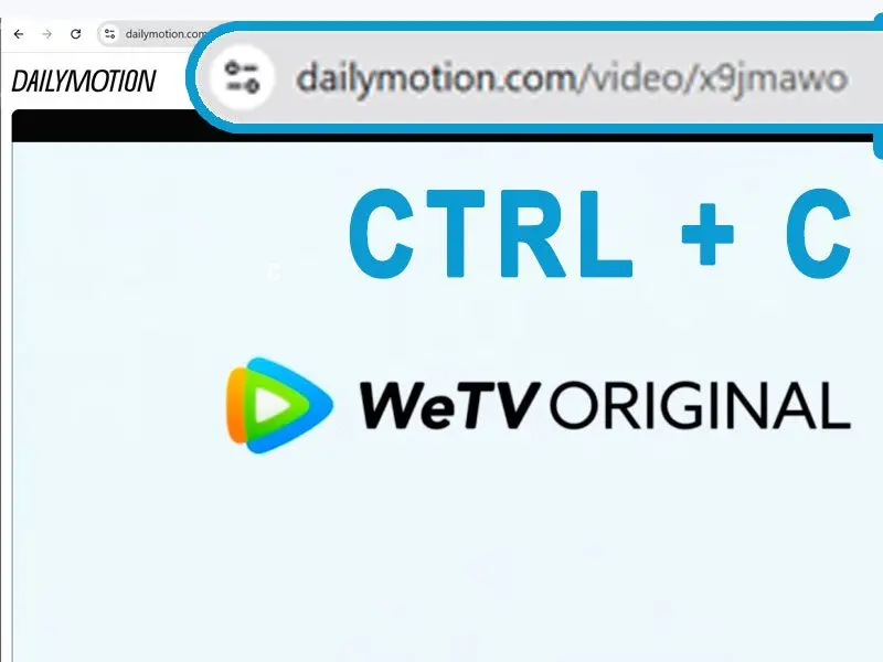 Copy the Dailymotion Video URL.
