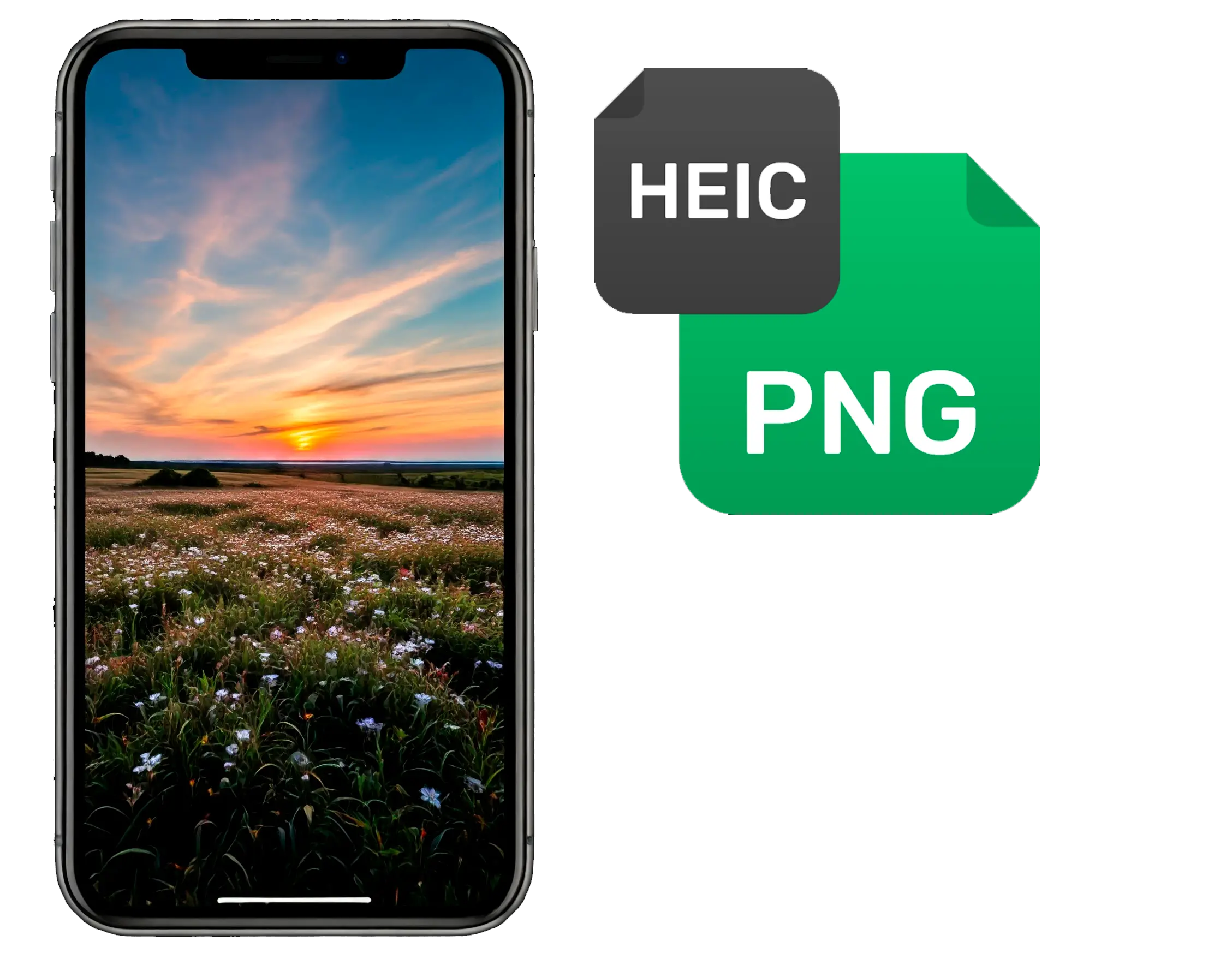 Comprehensive HEIC Format Support.