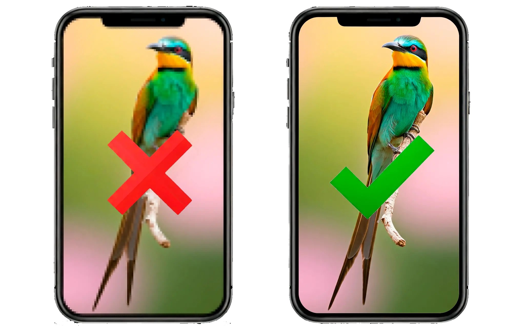 Preserve Image Quality or Compress Images.