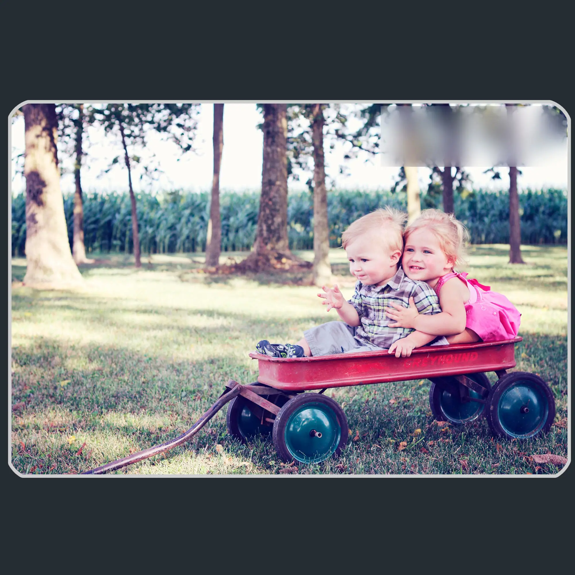 Blur-Free Watermark Removal Coming Soon.